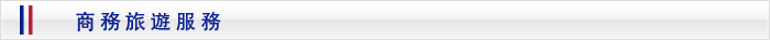 ビジネストラベルサービス